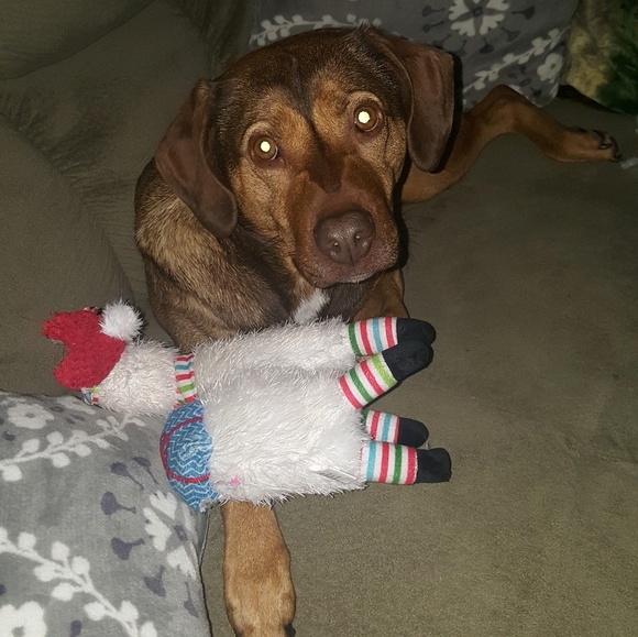 Meet your Posher, Heather - Picture 1 of 1